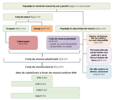 Infografic: Trimestrul IV - tranziția uter-lumină, transferul de grijă, și pașii postpartum