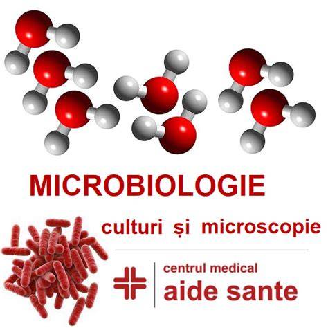 Infografica: Etape din recoltare pana la identificare bacteriana