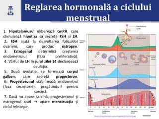 Impactul hormonilor asupra sarcinii: esentiale pentru intelegere