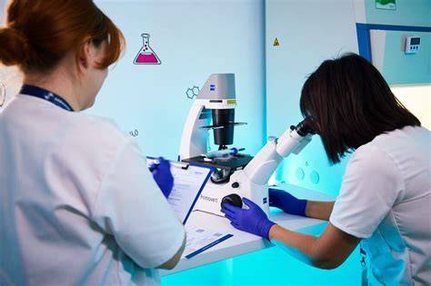 Imagine schematică a procesului de cariotip în lichid amniotic