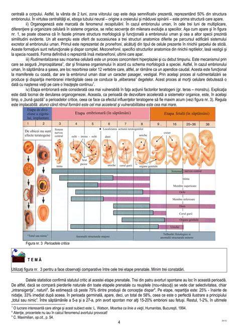 Schema monitorizării prenatale pe trimestre