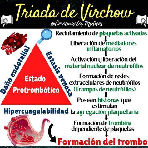 Grafic: Triada Virchow si mecanismele trombozei venoase