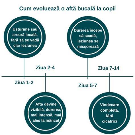 Infografic: Evoluția bunei-credințe de la fides la NCC