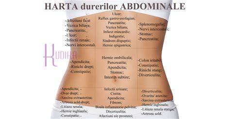 Infografic: traseul durerilor abdominale către ombilic și organele implicate