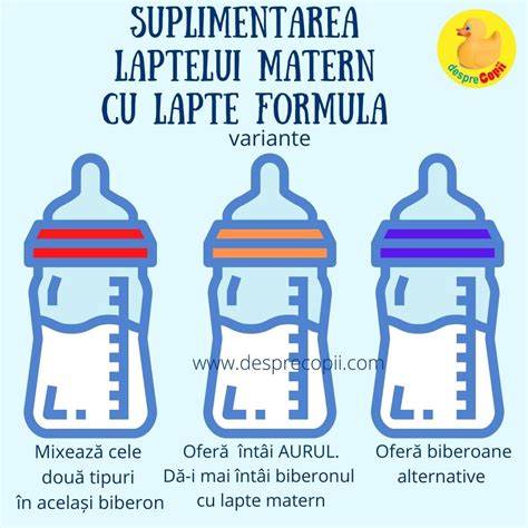Schema fluxului de lapte in timpul alaptarii