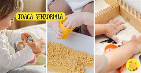 Schema interactiunii sugar-jucarii pentru stimulare senzoriala