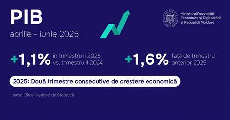 Infografic: Etapele dezvoltării fatului în trimestrul II