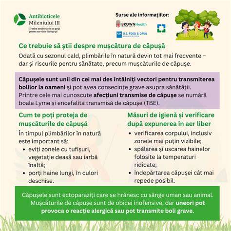 Infografic: pași de evaluare a copiilor cu mușcături de căpușă