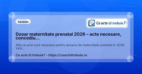 Infografic: Flux procesare dosar arhivă maternitate Oradea