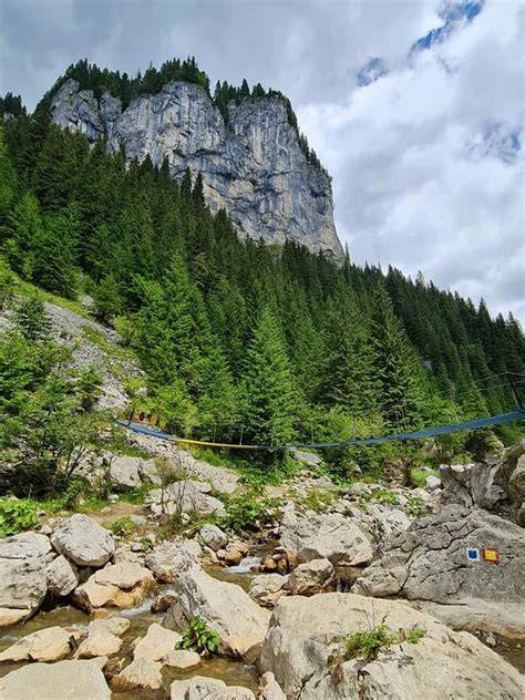 Aquatique izvor Carpați, 1.100 m altitudine, Parcul Natural Bucegi