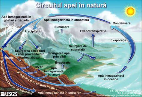 Schema circuitului nutrientilor în sol: complex argilo-humic, saruri, și biosinteză