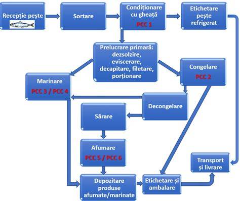 Diagrama fluxului pregătirii preoperatorii la copii