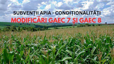 Infografic: GAEC 7 - Rotația și diversificarea culturilor pe parcelă