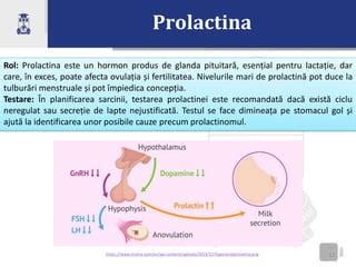 Imagine: Schema procesului de lactație: cererea-parti, prolactina și oxitocina