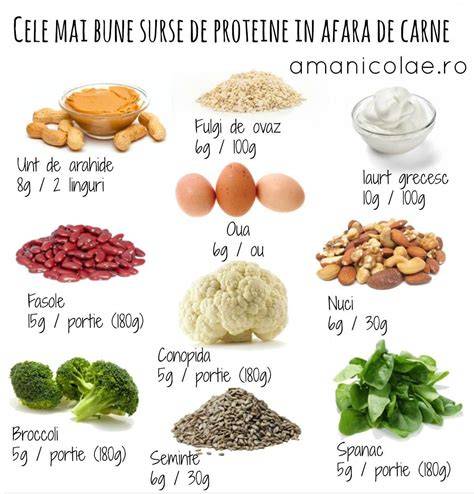Infografic: Ghid de alimentație în timpul alăptării - componente-cheie, surse de proteine, calciu, fibre, lichide