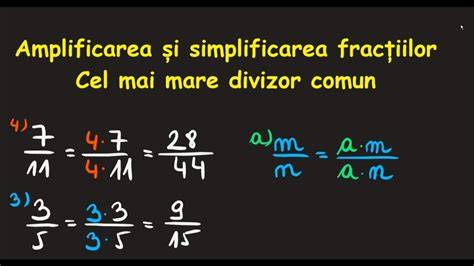 Infografic: mecanisme de simplificare si CJUE jurisprudenţă relevantă