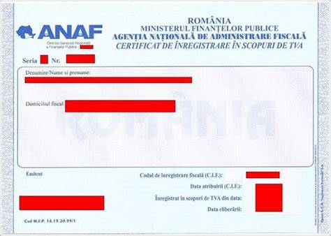Camere de validation TVA: descarcare si inregistrare AIC in D390
