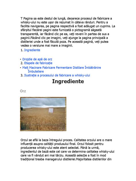 Infografic: Principalul lanț de producție pentru tuica cu miere (ingrediente, procese: fermentare, distilare, învechire)