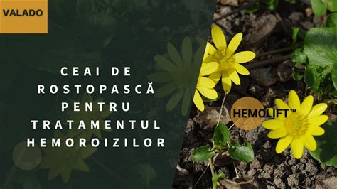 Ilustrație a plantei de rostopască