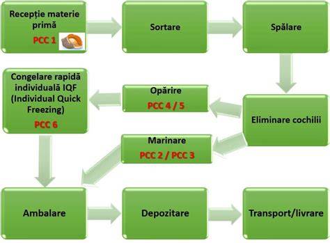 Imagine: Diagramă a fluxului de absorbţie a vitaminei C în organismul copiilor, cu blocuri de căi de absorbţie