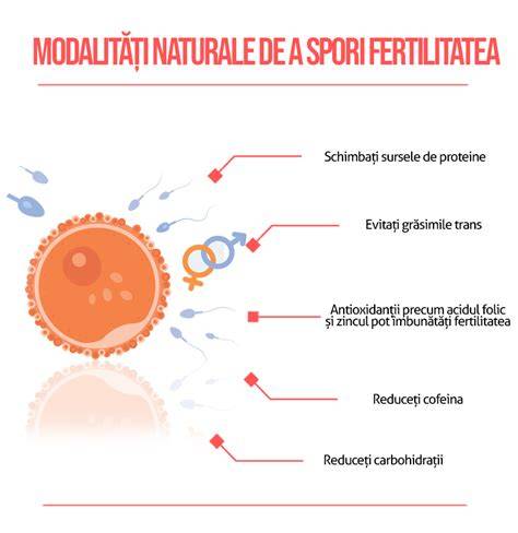 Infografic: Formarea varicocelului și impactul asupra fertilității