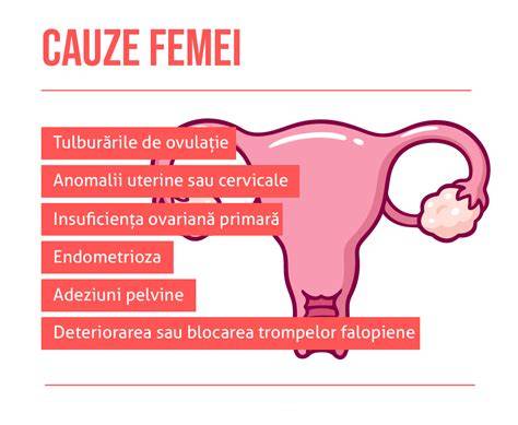 Grafic comparativ: cauze infertilitate la femei și bărbați