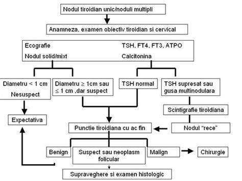 Diagnosticul tiroidian: ecografie si prezentarea simptomelor