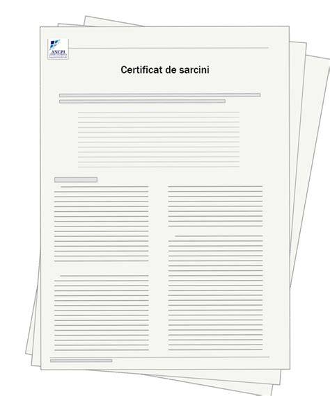 diagrame si flux valabilitate certificat sarcini