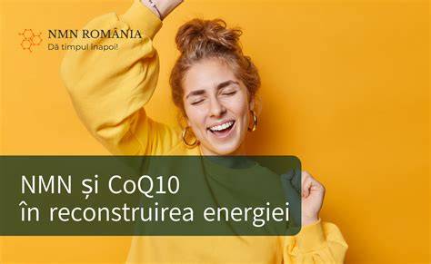 Infografic despre rolul mitocondriilor și CoQ10 în ovocite