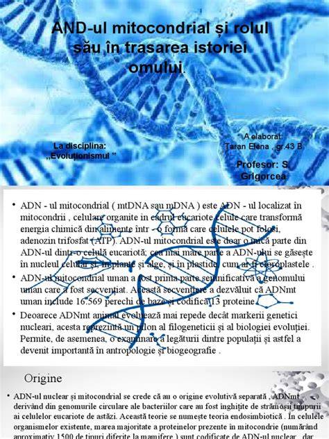 Diagramă a procesului mitocondrial în ovocite