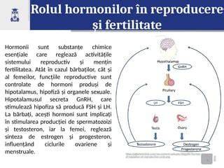 Diagramă: rolul suplimentelor în fertilitate