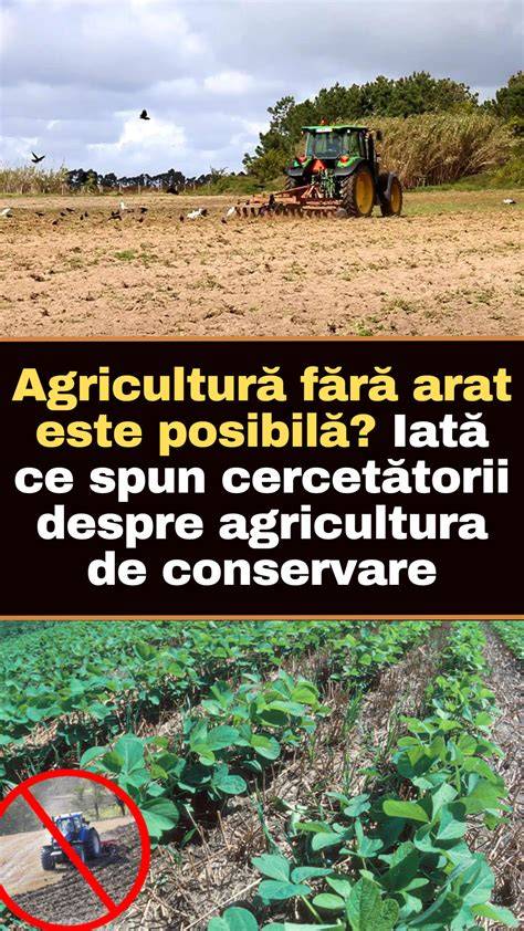 Infographic despre rolul humusului in agricultura