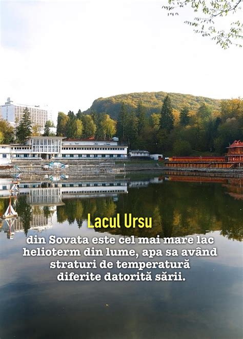 Infografic despre Lacul Ursu, Lac helioterm, golfuri, nămol sapropelic