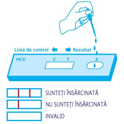 Infographic despre cum functioneaza testul de sarcina si hCG