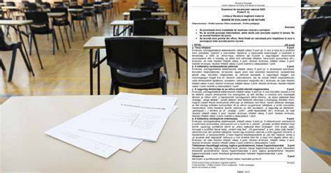 Infografic: Procesarea subiectelor bacalaureat la limba maternă germana