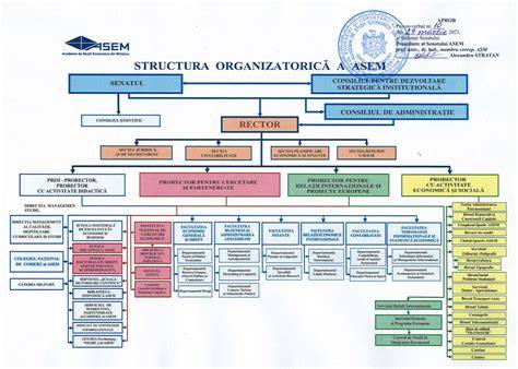 Infografic: Structura organizatorică SNOMR și fluxuri de lucru GL