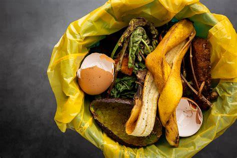 Scaun diversificat: resturi alimentare vizibile