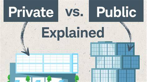 Infografic: Comparație saloane maternitate private vs. public