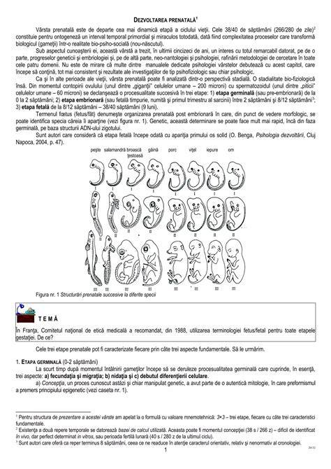 Diagramă: rolul geneticii medicale în consilierea prenatală