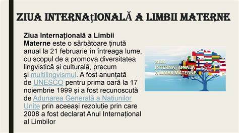 Infografic: importanța limbii materne, impactul bilingvismului, drepturi lingvistice în România