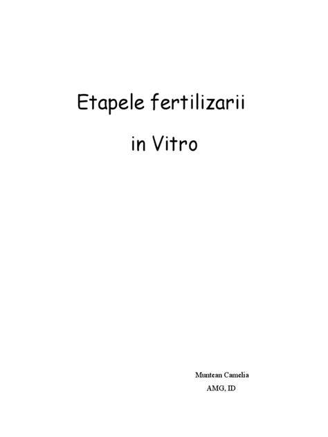 Infografic: etapele fertilizarii in vitro