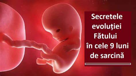 Schema evoluției sângerărilor în sarcină