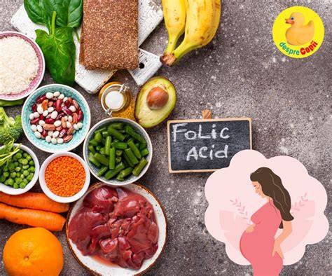 Diagram despre rolul acidului folic in sarcina si dezvoltarea fatului