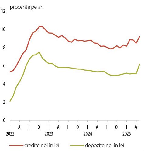grafic rate de eroare