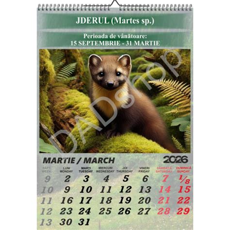 calendar cu perioade