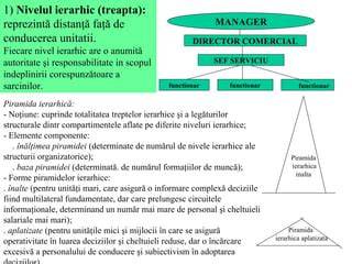 Infografic: Clasificare nivele dezinfecţie în unităţi sanitare