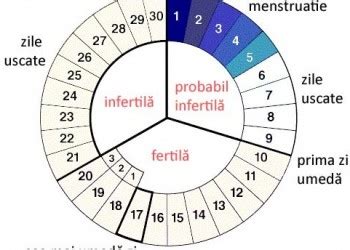 Diagrama mucusului cervical pe parcursul ciclului menstrual