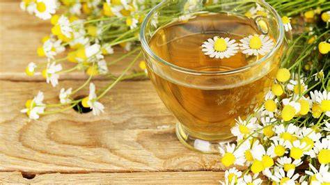Mușețelul: beneficii antiinflamatoare, antiseptice și calmante