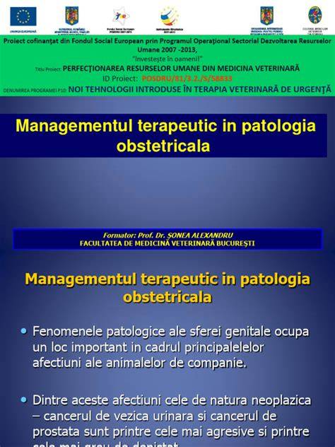 Infografic: fluxul diagnostic-tratament în patologia obstetricală