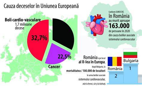 Infografic: Giro de cauze ale amenoreei si cum se evaluează